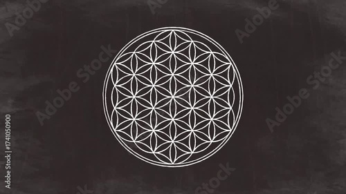 Flower of Life Rotation on Black Chalkboard Background(10s Loop)
