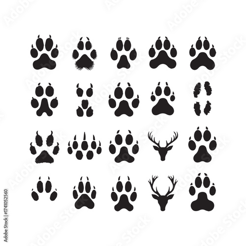 Collection of black animal paw prints and deer antlers on a white background Keywords: paw print, animal track, footprint, dog paw, wolf paw, bear paw, cat paw, wildlife, nature, forest