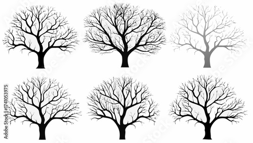 Elegant silhouettes of bare trees in grayscale offer a stark and artistic visual, perfect for seasonal designs and nature-inspired graphics, originally a vector