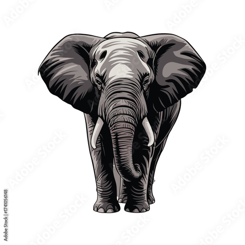 Elephant front view T-shirt Design. Powerful African wild animal. Large tusks visible. Savannah creature illustration. Wildlife specie. Trunk and ears visible.