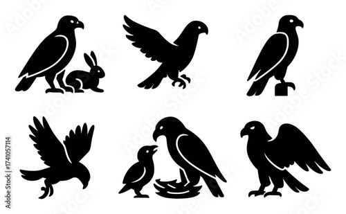 Birds of Prey Icons