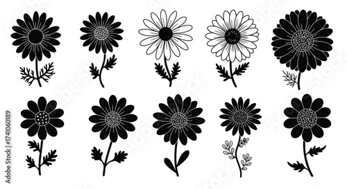 A collection of monochrome daisy flowers with varying degrees of detail