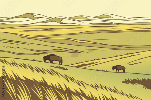 Theodore Roosevelt National Park Fields in North Dakota, grassy plains with wild horses roaming