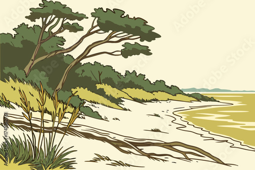 St. Simons Island Beach in Georgia, sandy shoreline with driftwood trees and coastal marshes