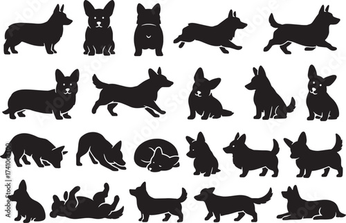 Diverse corgi dog silhouettes collection various poses and actions for design projects
