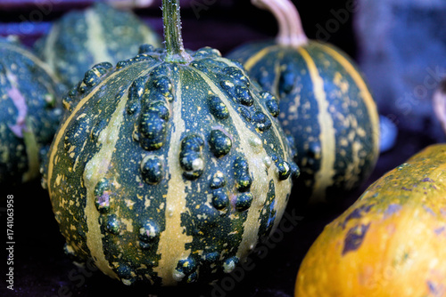 Calabazas del huerto