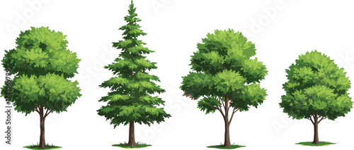Different tree types, coniferous and deciduous trees, foliage illustration, landscaping design, garden planning asset, vector plants, outdoor environment, nature elements, greenery icons