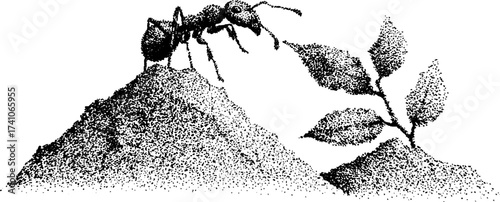 Ant carrying leaves on a mound in detailed dotwork stippling