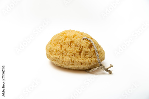 Natural sea sponge on white background. Selective focus.