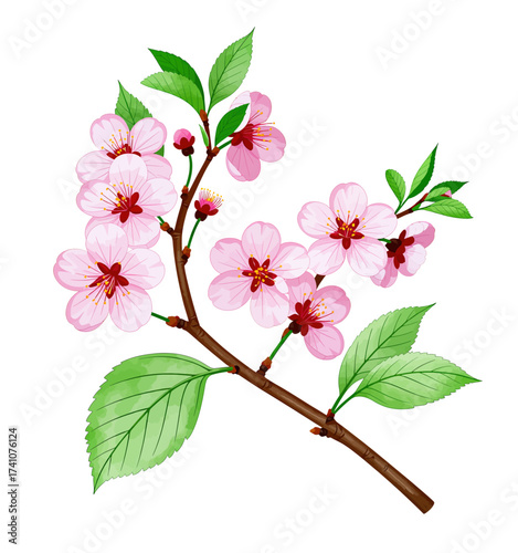 Blossoming Cherry Branch in Springtime Serenity