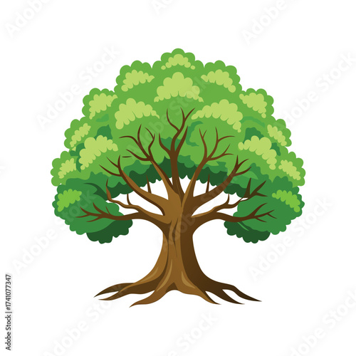 Oak green tree isolated on white