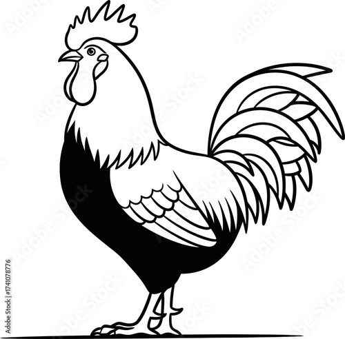 Rooster standing proud and alert, featuring a magnificent comb and tail feathers in outline illustration for farm animal concept vector