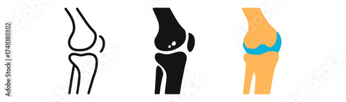 Stylized knee joint designs: outline, solid, and anatomical views