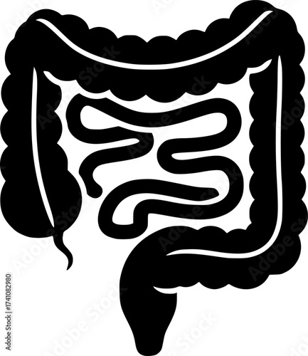 Intestines icon. for anatomy 
