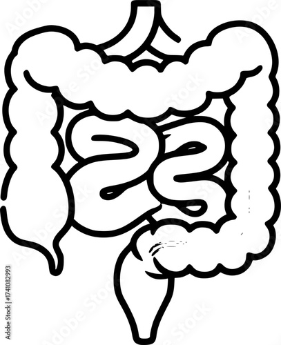 Intestines icon. for anatomy 