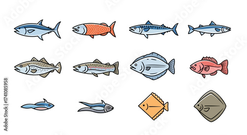 Illustration depicting various types of fish, including tuna, salmon, mackerel, and flounder, in a simple, outlined style.