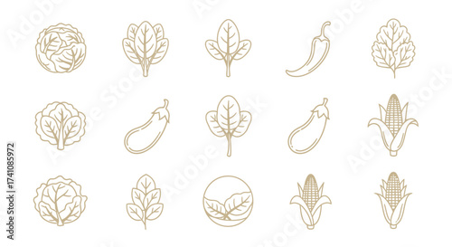 Line art illustration featuring various vegetables including cabbage, spinach, eggplant, pepper, and corn in a minimalist style.