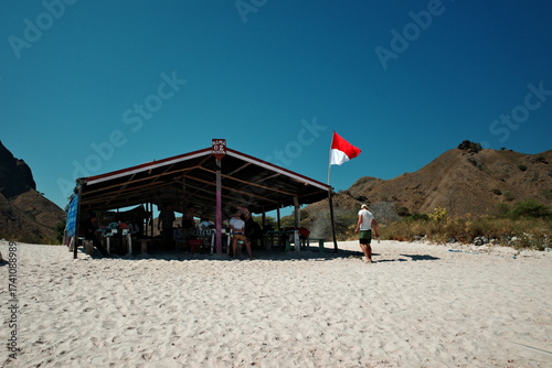 flag on the beach