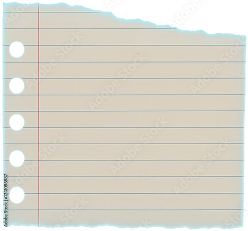 Torn Paper with Holes - A Detailed View of a Paper Scrap, Perfect for Writing