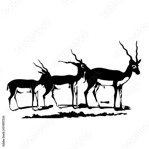 deer silhouette vector