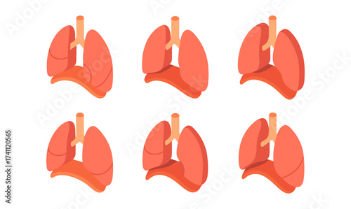 Isometric human lungs collection showing different angles in detailed 3d design