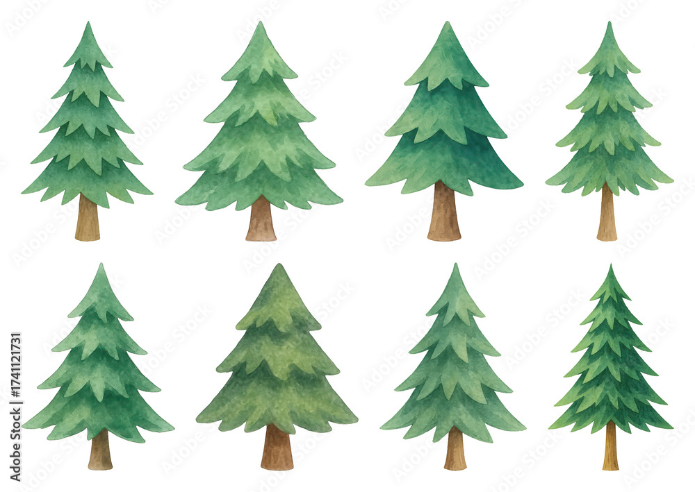 Fototapeta premium PNG Watercolor evergreen tree illustrations, element set on transparent background