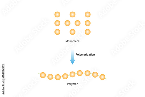 Polymerization Process Science Design. Vector Illustration.