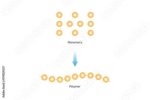 Polymerization Process Science Design. Vector Illustration.