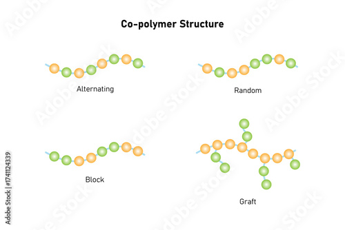 Types of Co-Polymer Structure Science Design. Vector Illustration.