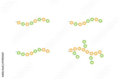 Types of Co-Polymer Structure Science Design. Vector Illustration.