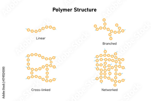 Types of Polymer Structure Science Design. Vector Illustration.