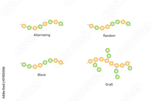 Types of Co-Polymer Structure Science Design. Vector Illustration.