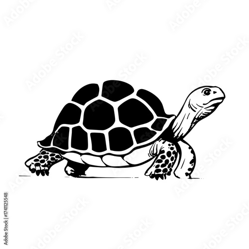 Aldabra Tortoise. Aldabra Tortoise simple black and white line art vector logo