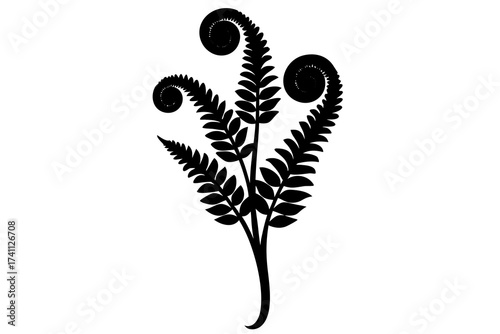 Fiddlehead Fern Silhouette Vector Illustration