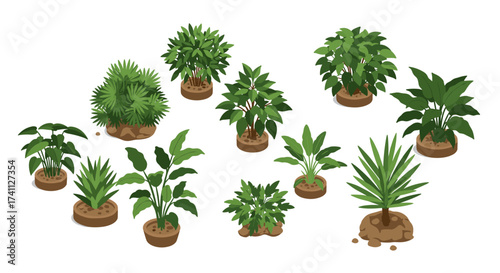 Lush green foliage collection in isometric style on white background