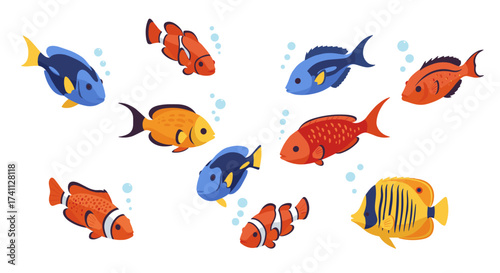 Colorful tropical fish collection with aquatic creatures and marine life