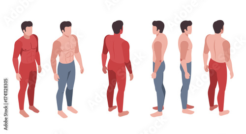 Isometric male anatomy poses with muscular and skeletal views