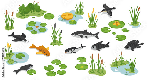 Isometric aquatic scene with fish, birds, and water plants in freshwater habitat