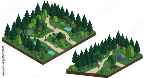 Isometric forest park scene with walking trails and pine trees for outdoor recreation