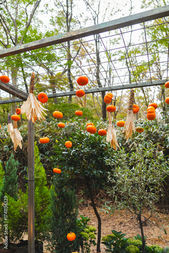 箱根のハロウィンのカボチャ