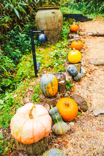 箱根のハロウィンのカボチャ