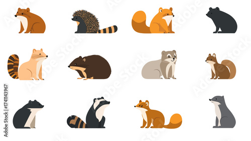 Collection of Stylized Mammals Cute Illustrations of Raccoons, Foxes, and Various Animals