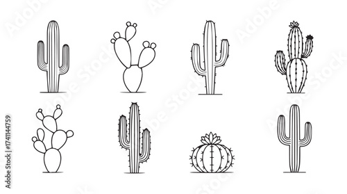 Collection of hand drawn desert cacti and prickly pear plants simple line art styles vector