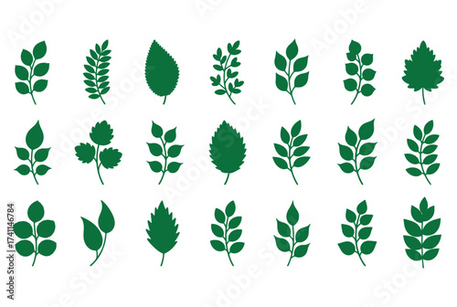 set of green leaves
