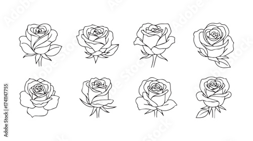 Collection of hand drawn rose flowers and leaves outline art elements for romantic designs vector