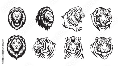Majestic big cat portraits featuring fierce lions and striking tigers in detailed sketch style vector