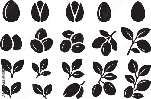 Pistachio nut plant black and white linocut vector illustration showing nut, seed and leaf silhouettes for culinary and packaging applications