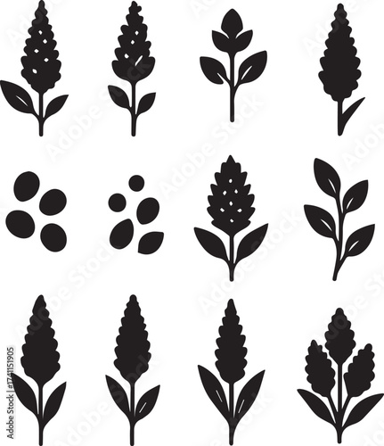 Quinoa plant and seed silhouettes black and white linocut vector illustration for superfood and organic packaging design