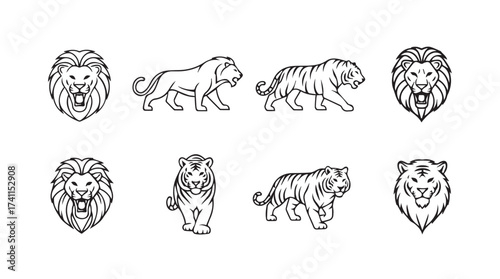 Collection of majestic lion and tiger heads and full body silhouettes art vector