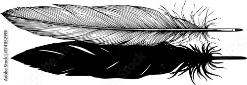  A single, delicate feather drawn in fine black lines, casting an impossibly large, solid black, heavy-looking geometric shadow on the white ground